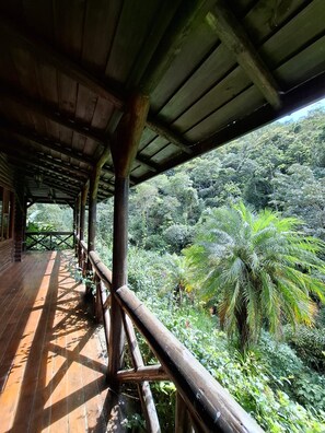 A wooden deck with a view of a dense forest. - Rio Perlas Thermal Resort & Spa (Dulce Nombre)