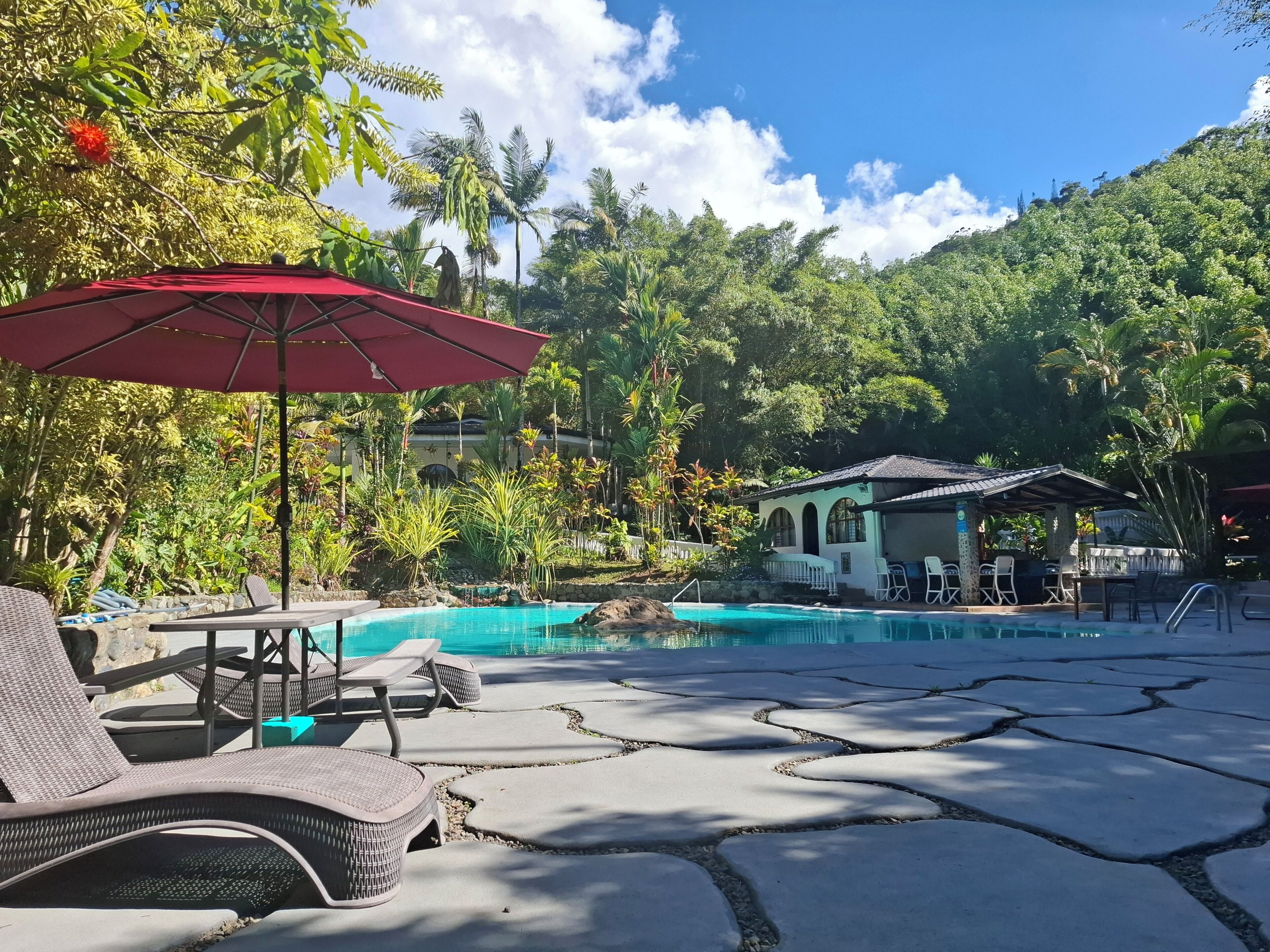 A pool area with lounge chairs and umbrellas, surrounded by lush greenery and a mountain backdrop.