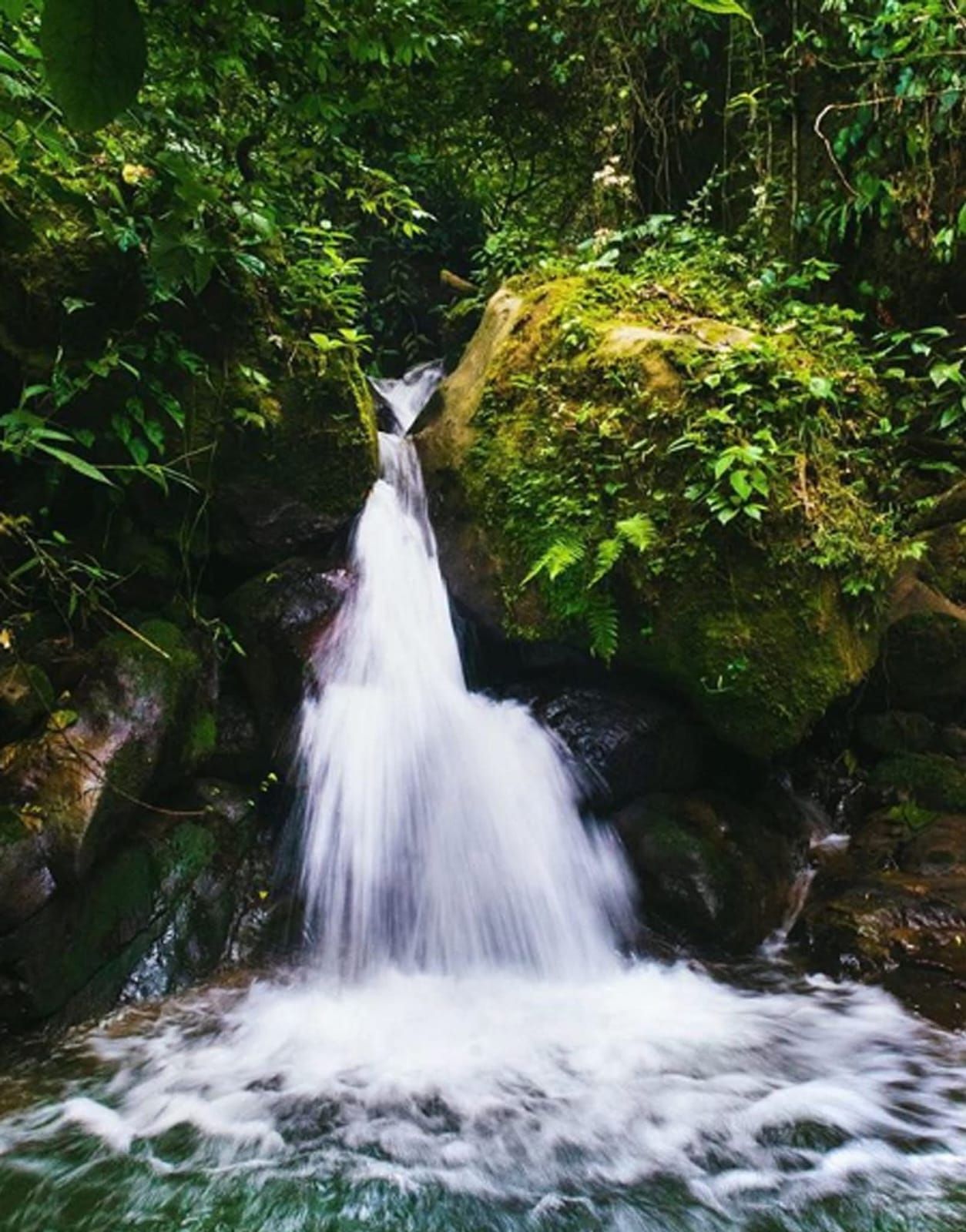 A waterfall cascading over moss-covered rocks in a forested area.