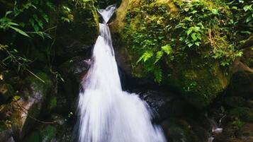 A waterfall cascading over moss-covered rocks in a forested area.