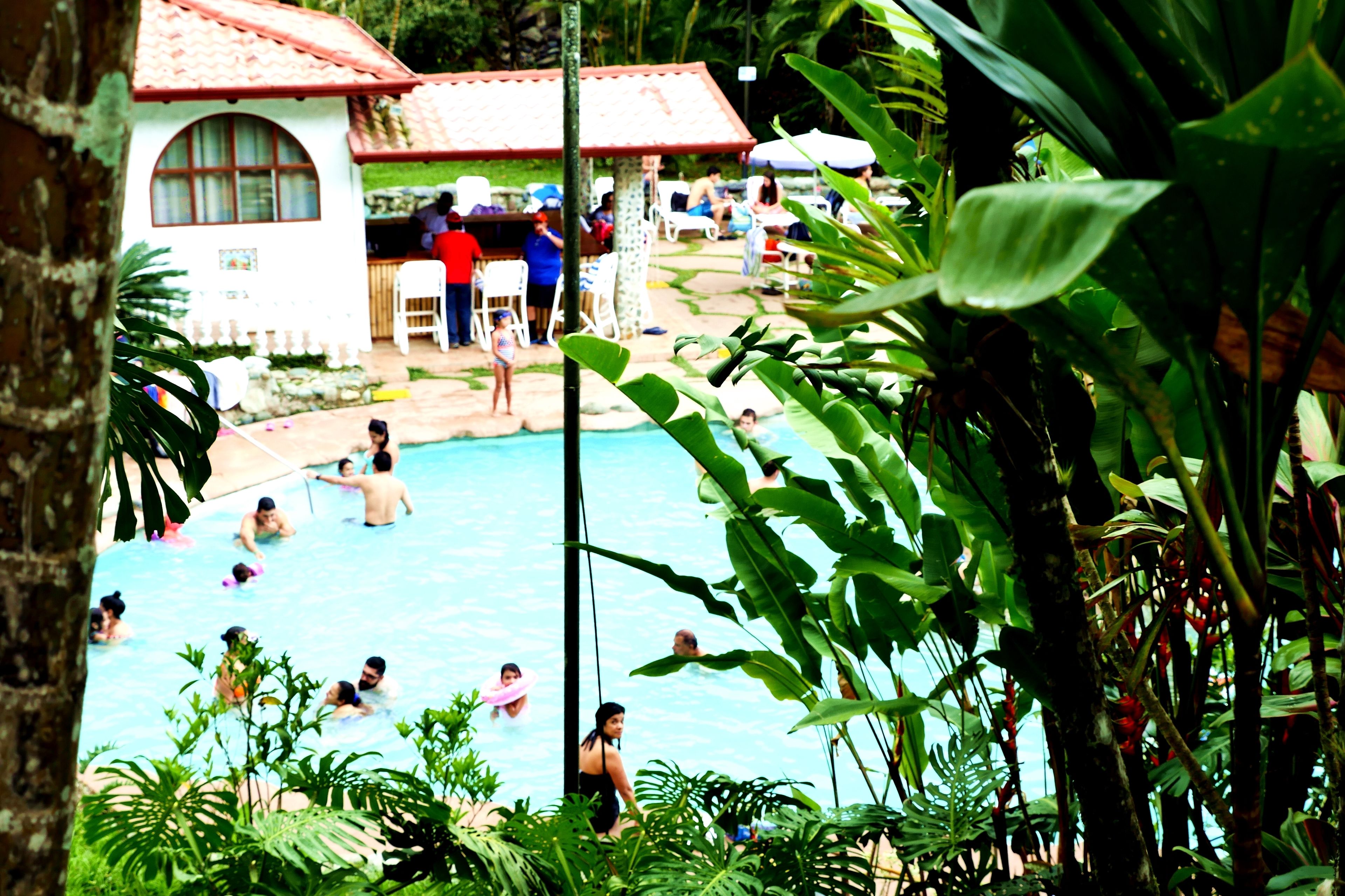 2 albercas al aire libre, sombrillas en la alberca y camastros 