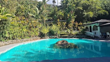 Ein Schwimmbecken mit klarem, blauem Wasser, umgeben von üppiger tropischer Vegetation und einer Steinmauer.