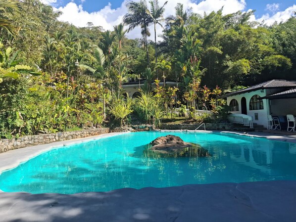 A swimming pool with clear blue water, surrounded by lush tropical vegetation and a stone wall. - Rio Perlas Thermal Resort & Spa (Dulce Nombre)