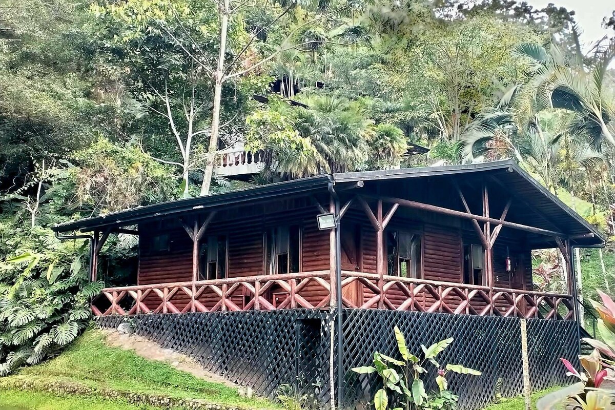 One-Bedroom Chalet | Premium bedding, down comforters, alarm clocks