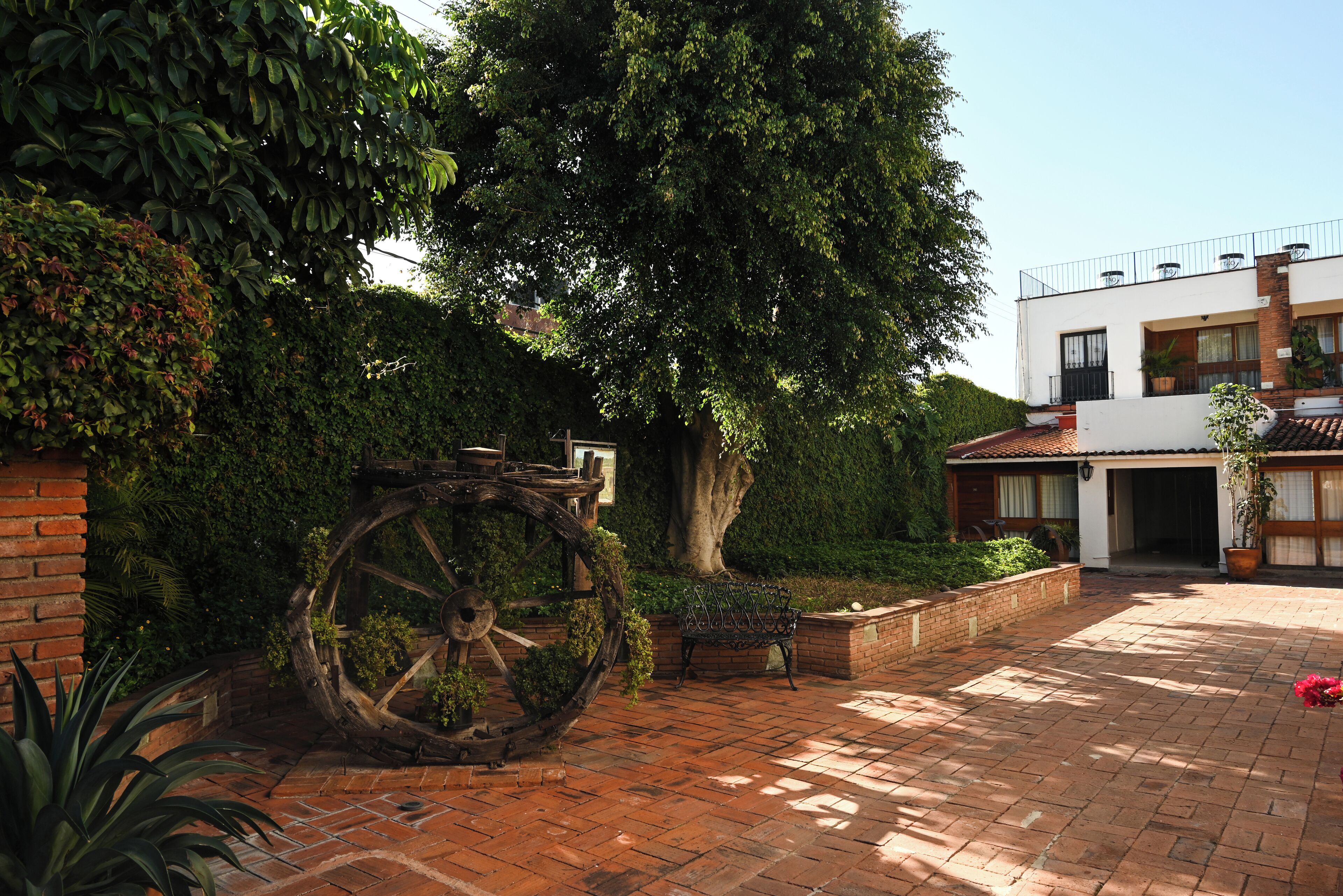 Foto - Hotel Hacienda