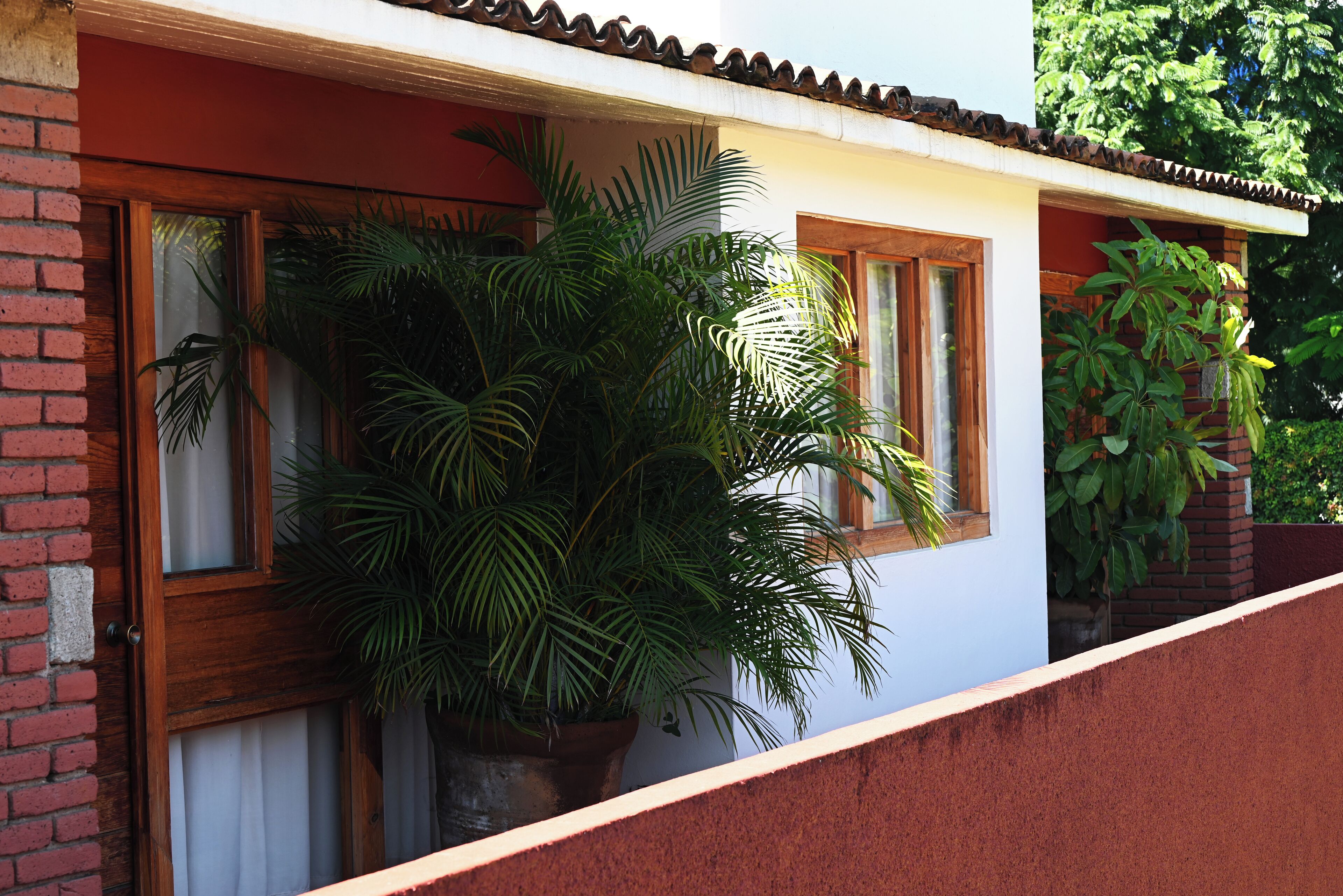 A building with a red brick wall, a white facade, and a tiled roof. There are windows with wooden frames and a large potted plant in front of one window.