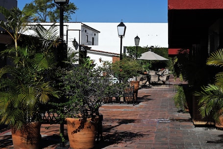 Jardín