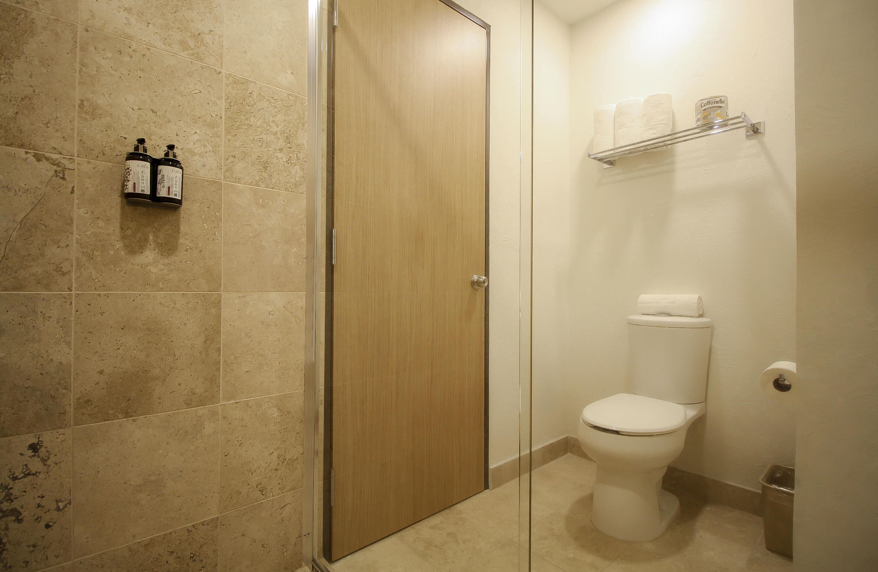 shower, free toiletries, hair dryer, towels