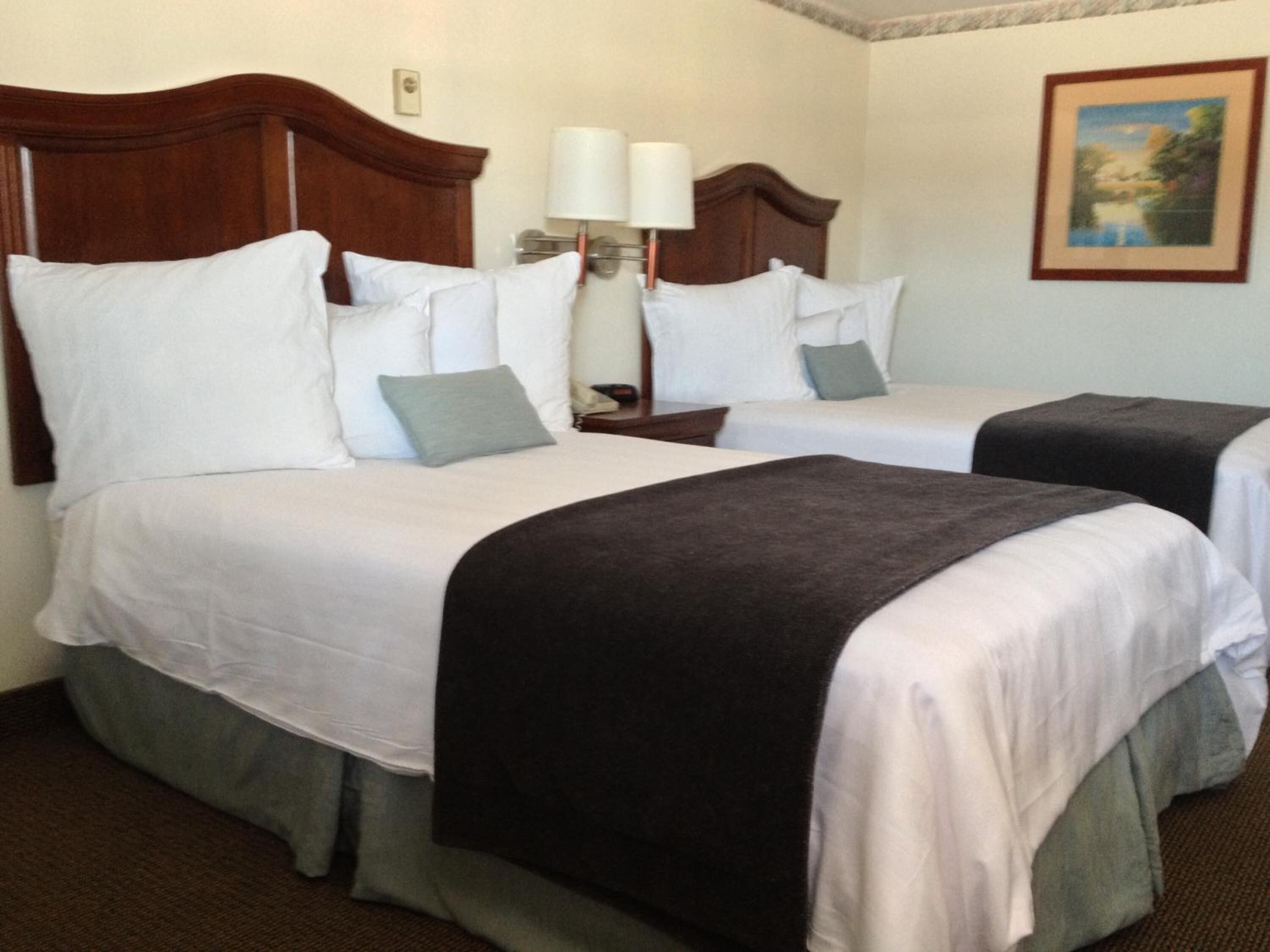 A hotel room with two beds, each with white linens and a dark throw blanket. There is a nightstand with a lamp between the beds.