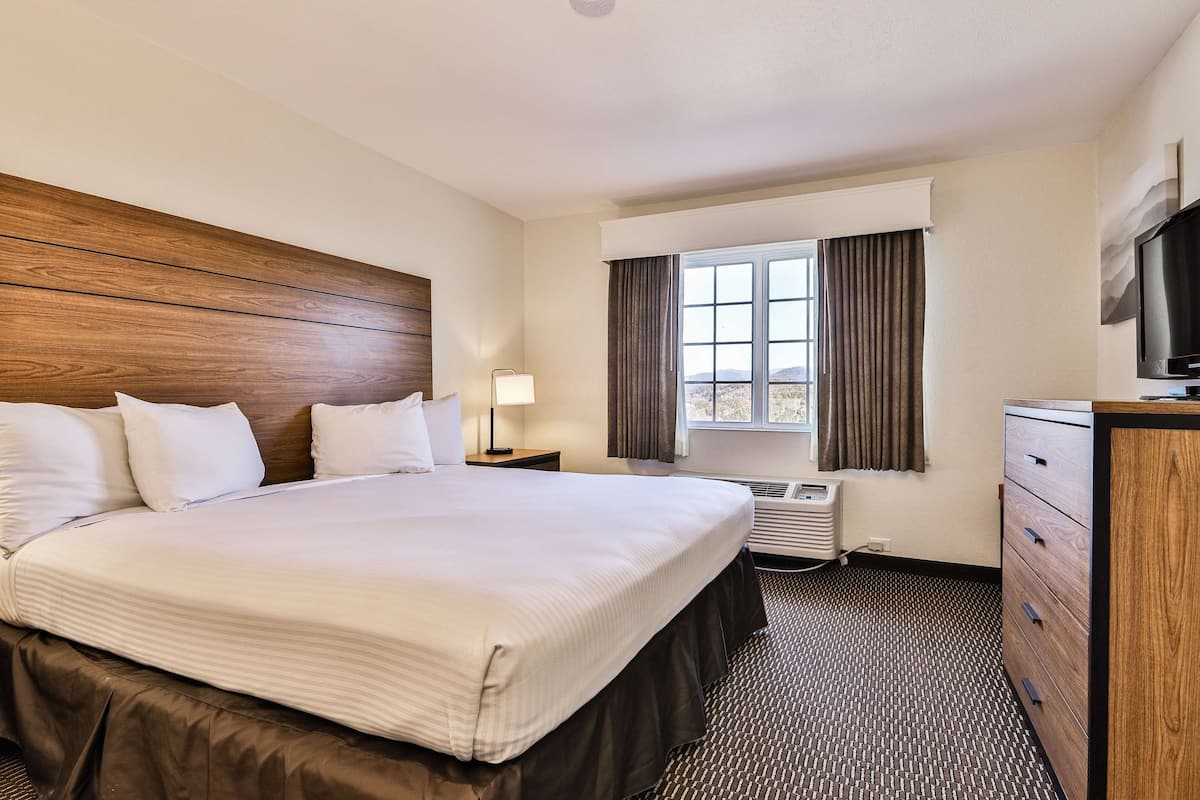 Suite, 1 King Bed, Non Smoking, Refrigerator & Microwave (with Sofabed) | Iron/ironing board, free WiFi, bed sheets