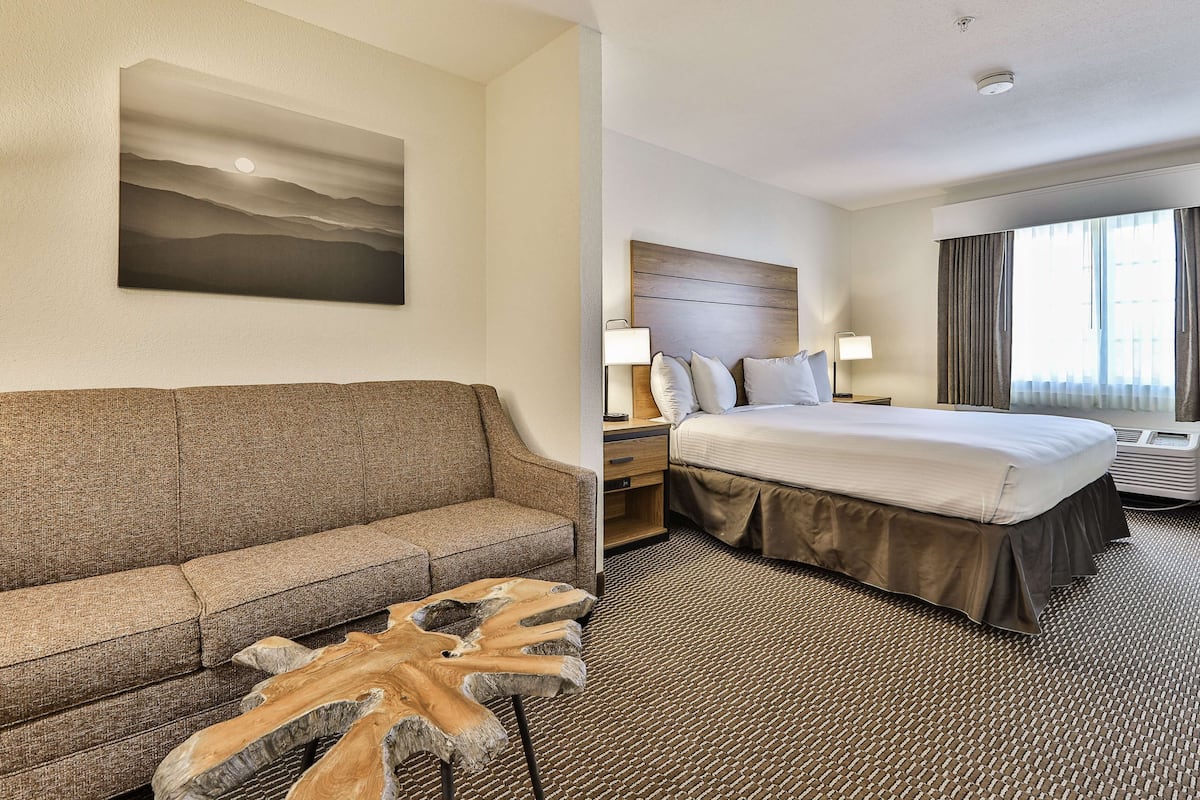 Suite, 1 cama King size y sofá cama, para no fumadores, refrigerador y microondas (with Sofabed) | Tabla de planchar con plancha, wifi gratis y ropa de cama