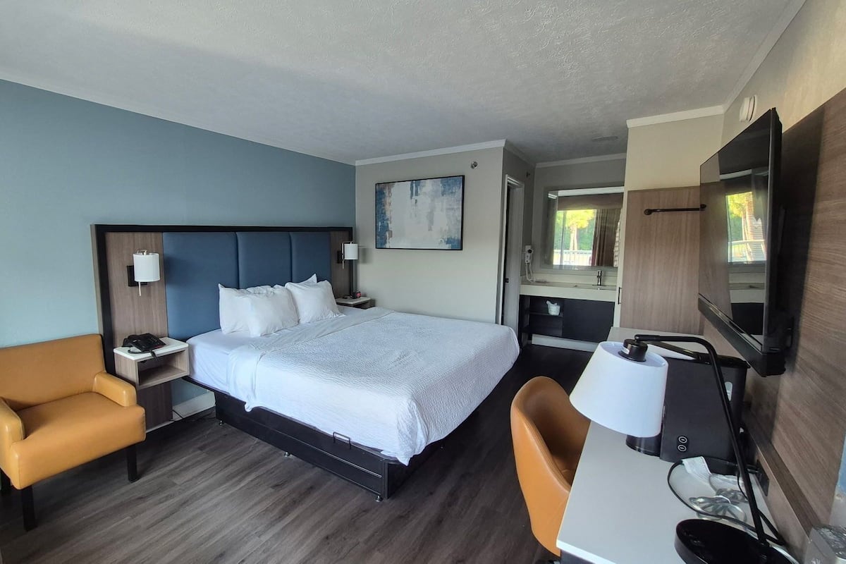 Room, 1 King Bed, Non Smoking | Desk, laptop workspace, blackout drapes, iron/ironing board