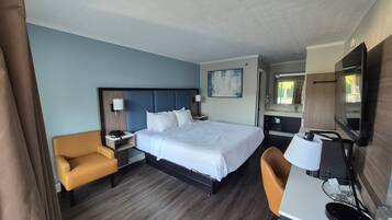 Room, 1 King Bed, Non Smoking | Desk, laptop workspace, blackout drapes, iron/ironing board