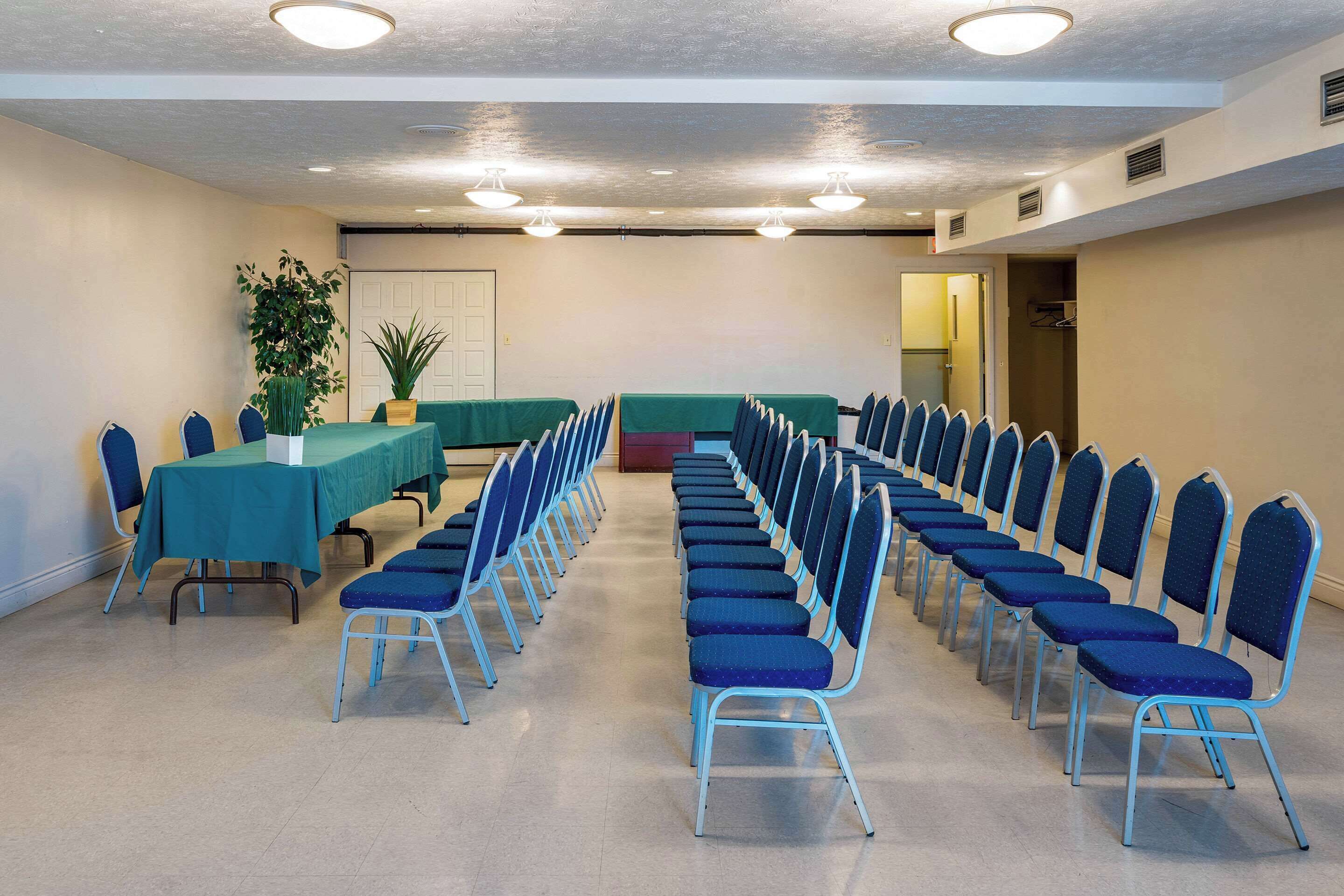 A conference room with rows of blue chairs, a long table with a green tablecloth, and a potted plant.