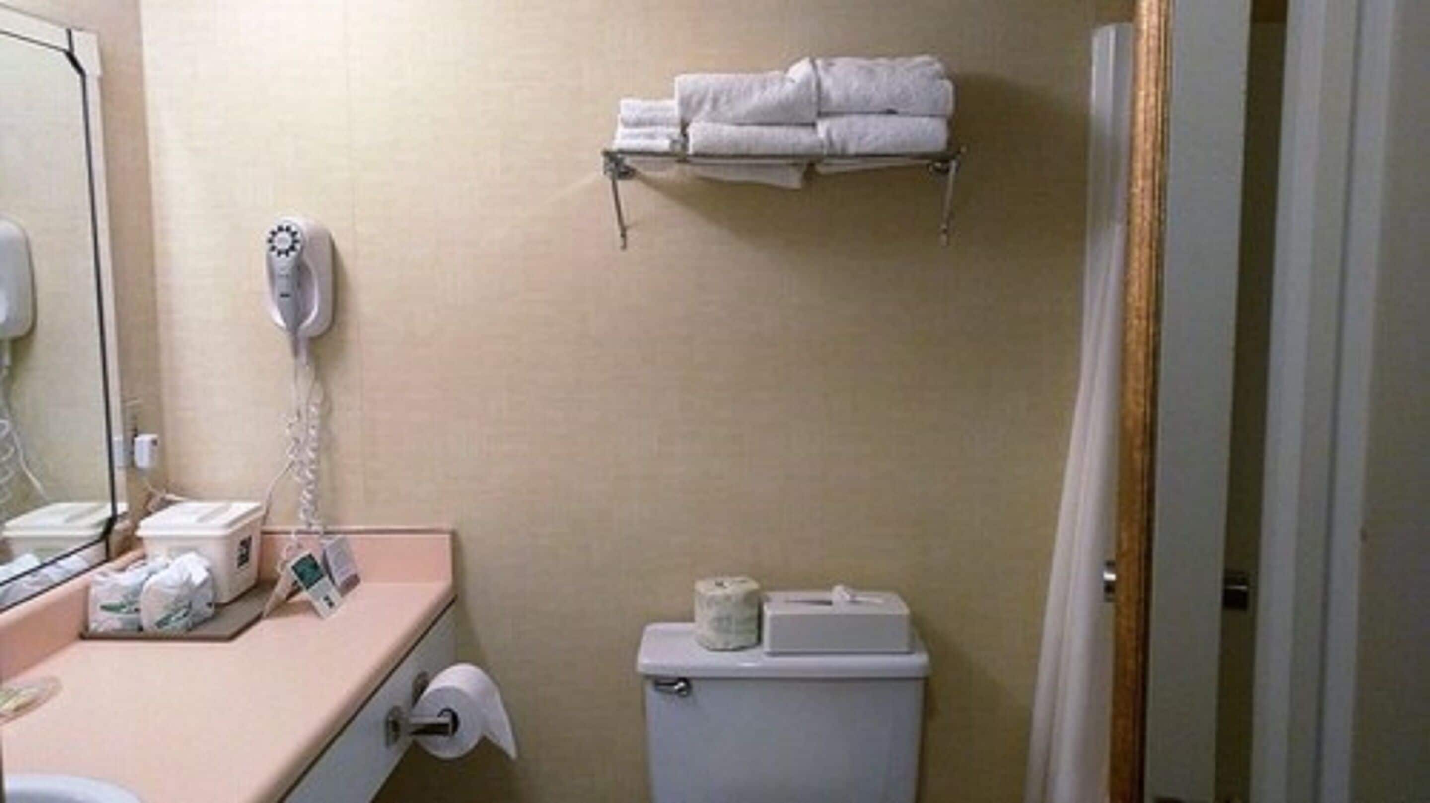 Een badkamer met toilet, handdoekhouder, haardroger en een wastafel met toiletartikelen.