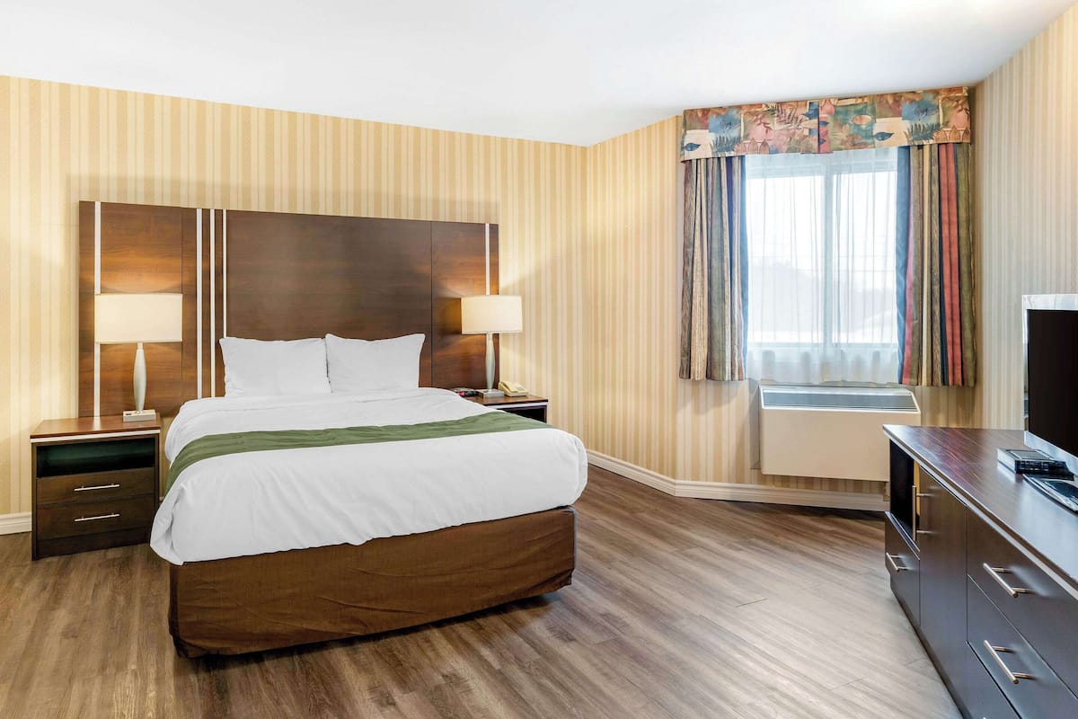 Standard Room, 1 King Bed, Non Smoking | Desk, soundproofing, iron/ironing board, rollaway beds