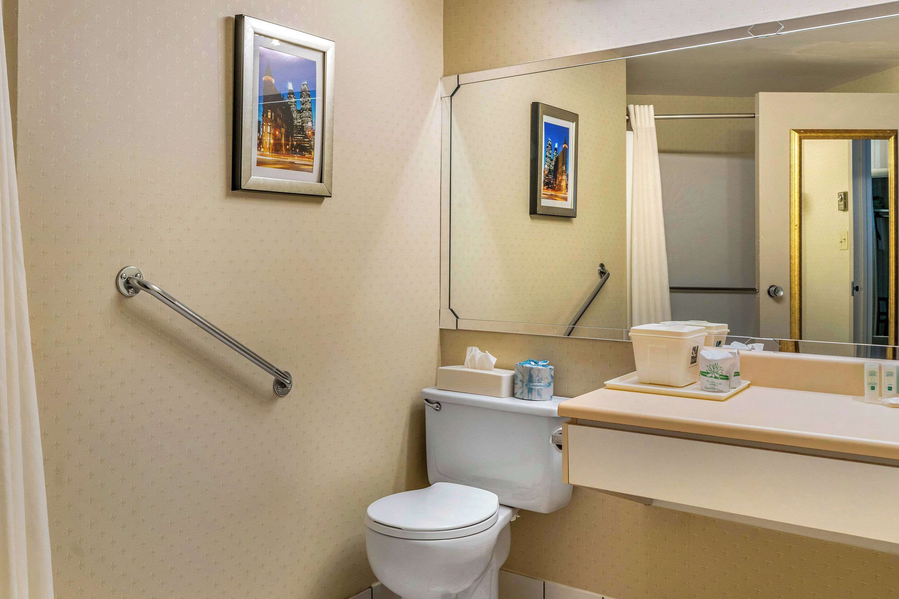 A bathroom with a toilet, a handrail, a sink with toiletries, and framed pictures on the wall.
