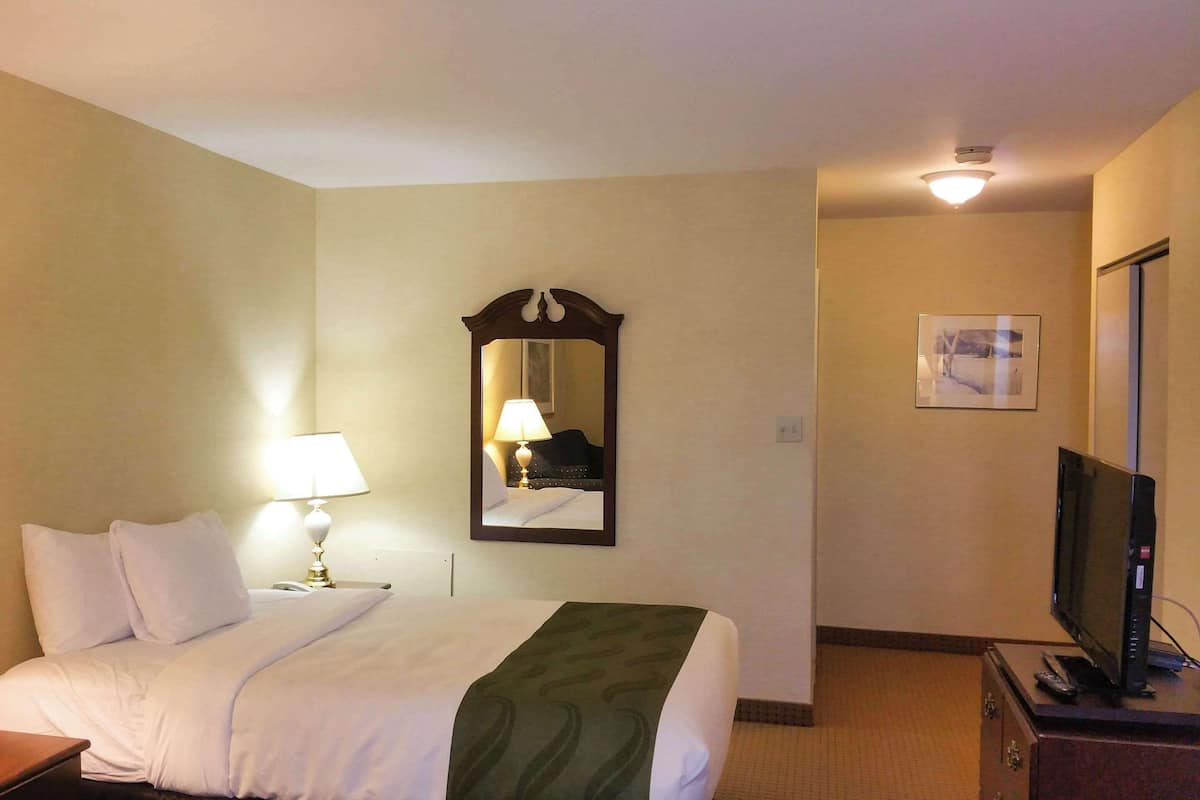 Una habitación de hotel con cama, televisión, lámpara y espejo.