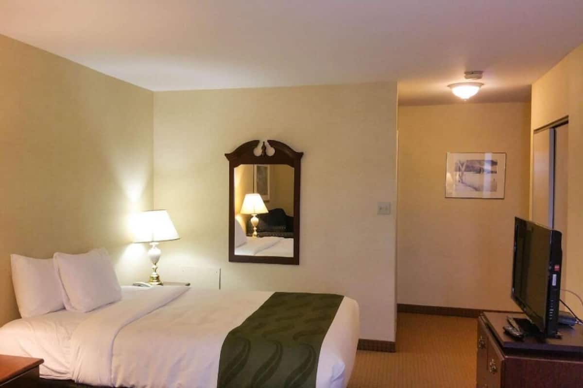 Una habitación de hotel con una cama, televisión, espejo y lámpara.
