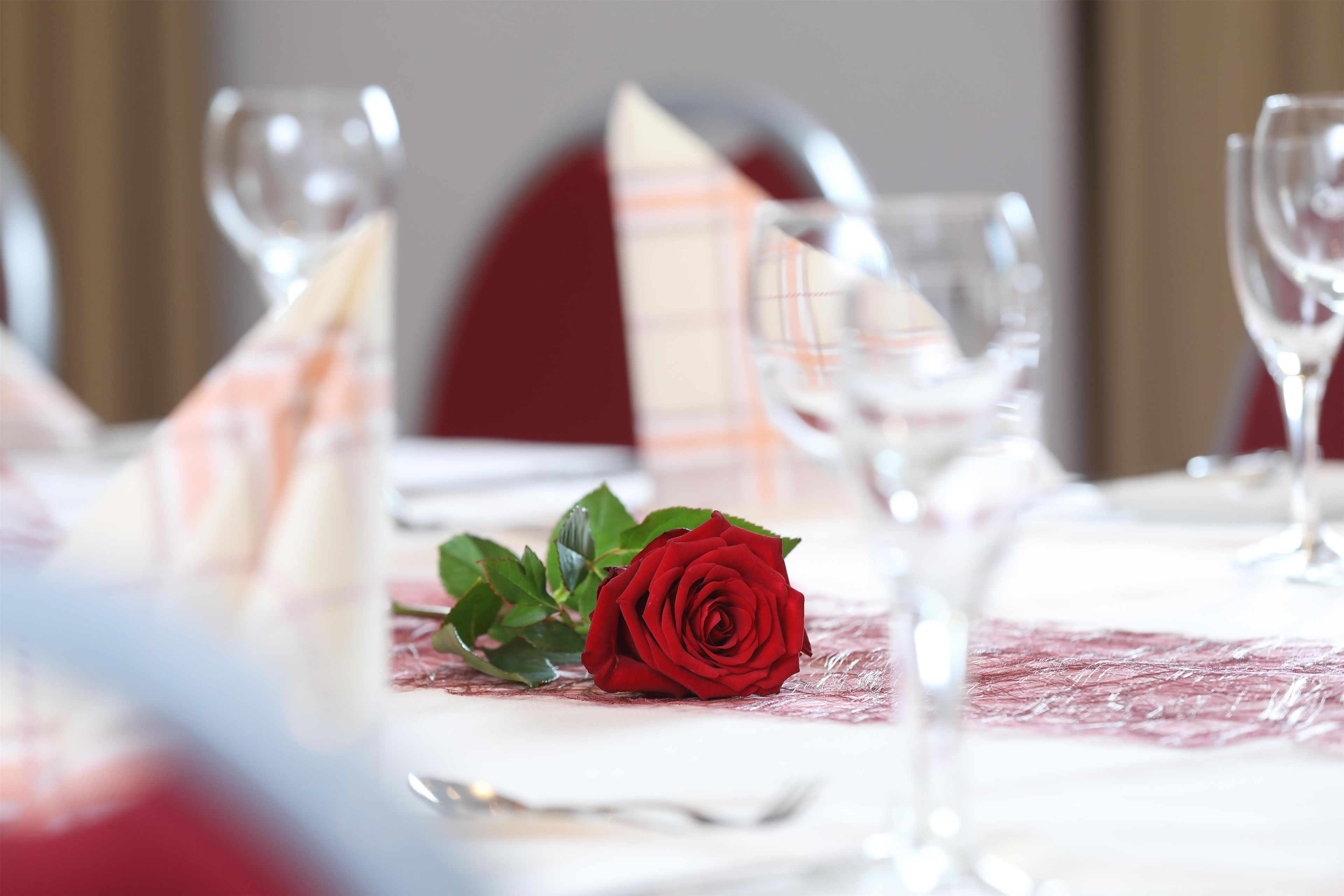 Una mesa de comedor con una rosa roja, copas de cristal transparentes y una servilleta escocesa.
