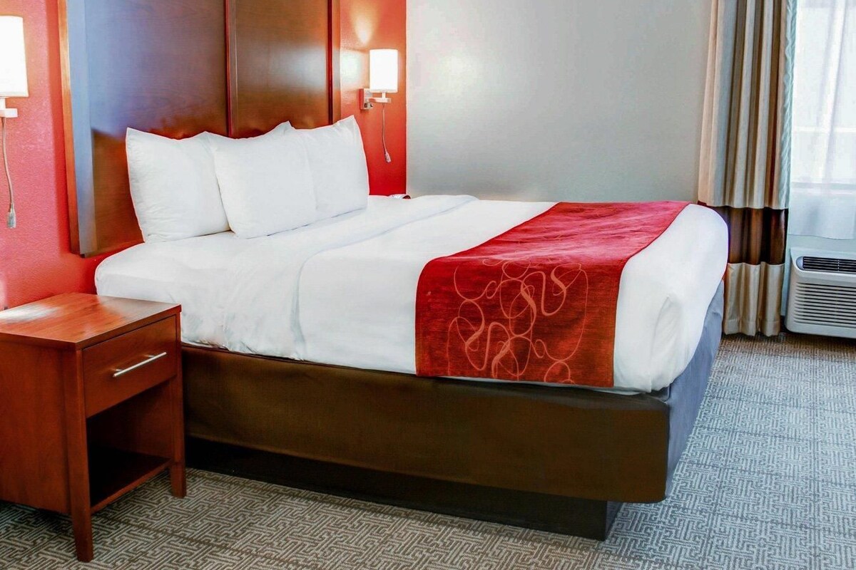 Suite, 1 King Bed with Sofa bed, Accessible, Non Smoking | Premium bedding, desk, blackout curtains, soundproofing