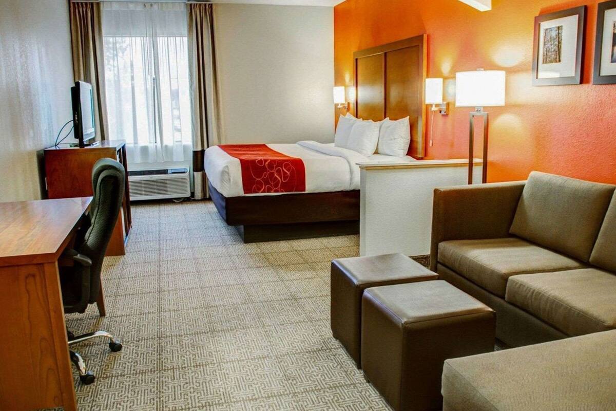 A hotel room with a bed, a desk, a chair, a sofa, and a TV.