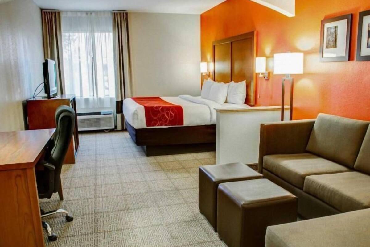 A hotel room with a bed, a desk, a chair, a sofa, and a TV.