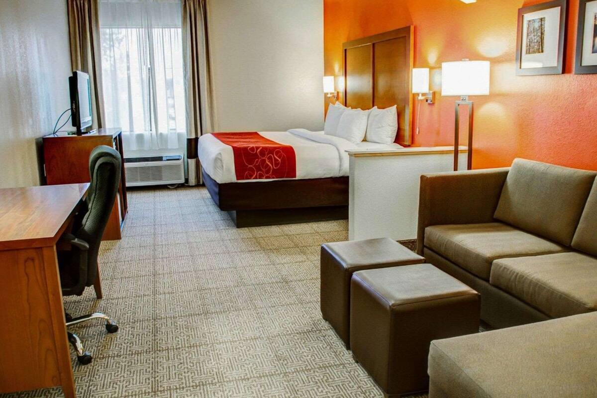 premium bedding, desk, blackout curtains, soundproofing