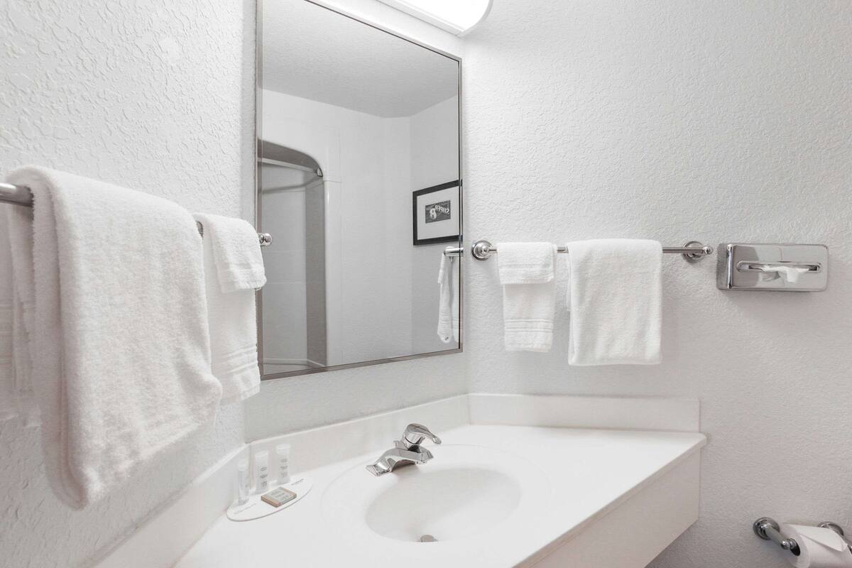 combined shower/bathtub, free toiletries, hair dryer, towels