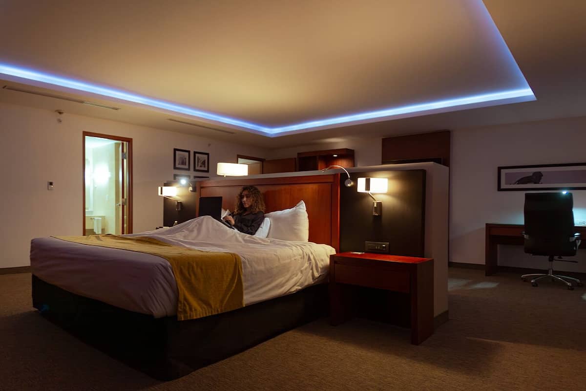 Suite, 1 King Bed, Non Smoking (Upgrade) | 1 bedroom, premium bedding, in-room safe, desk