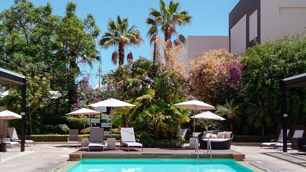 Una piscina con sillas de descanso y sombrillas, rodeada de plantas tropicales y palmeras.