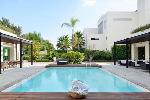 Outdoor pool, sun loungers