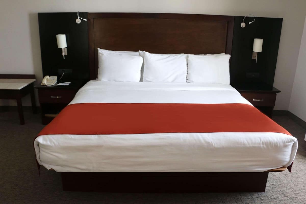 Room, 1 King Bed, Non Smoking | 1 bedroom, premium bedding, in-room safe, desk