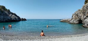 Beach nearby, free beach shuttle, beach umbrellas, snorkelling