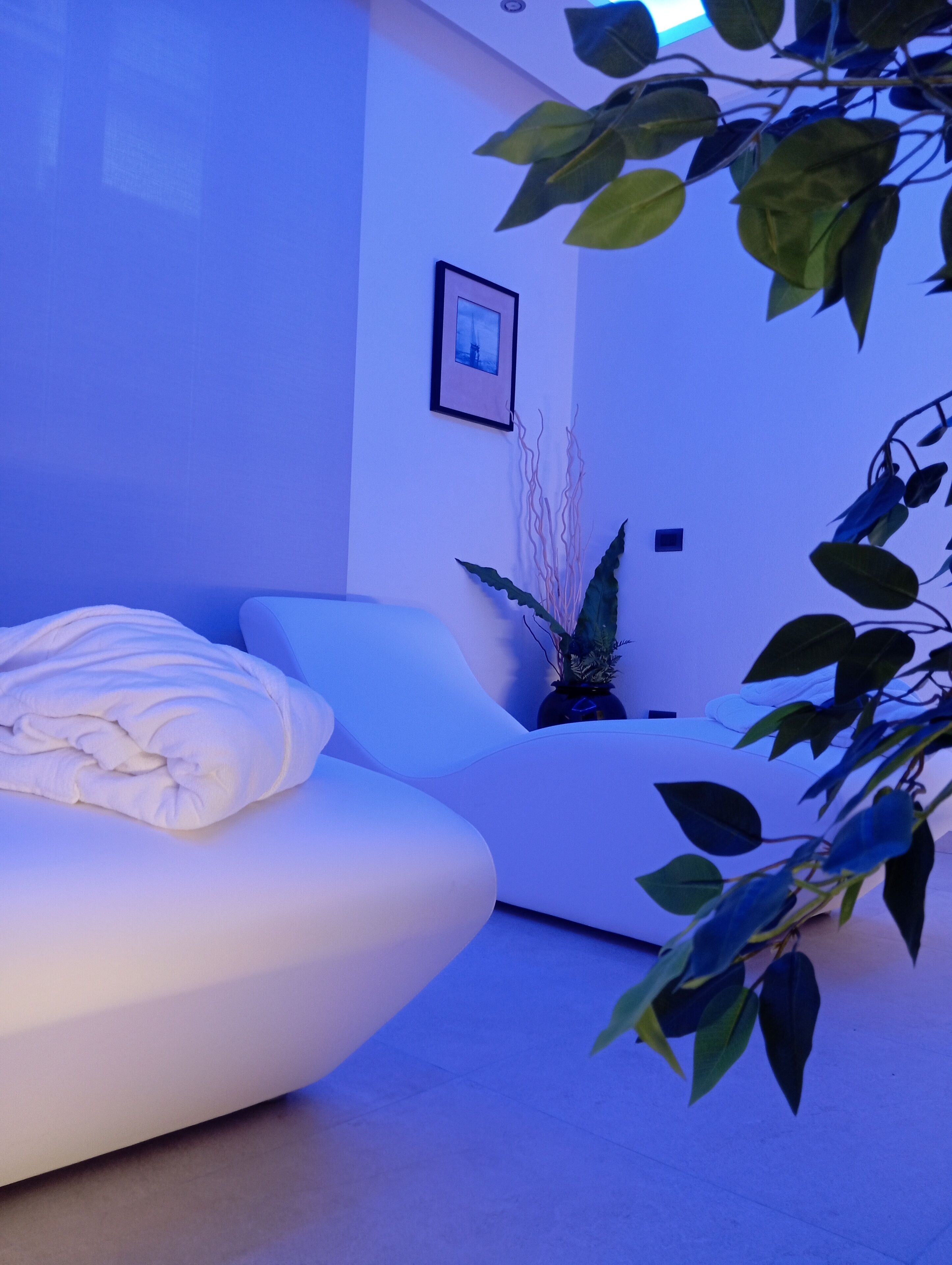 Una habitación moderna con un sofá blanco, una mesita y una planta en maceta.