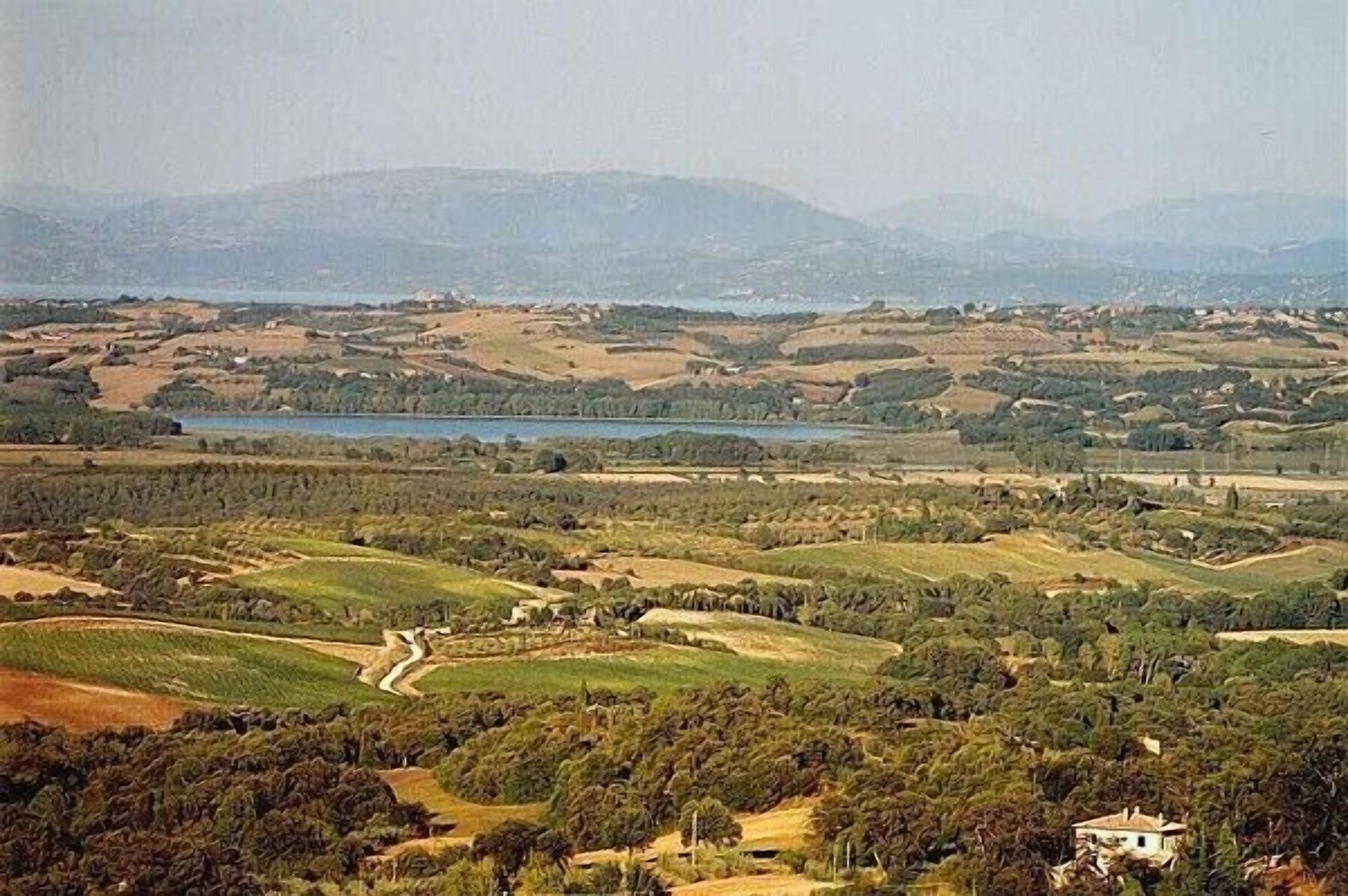 A panoramic view of a rural landscape with fields, a lake, and distant mountains.