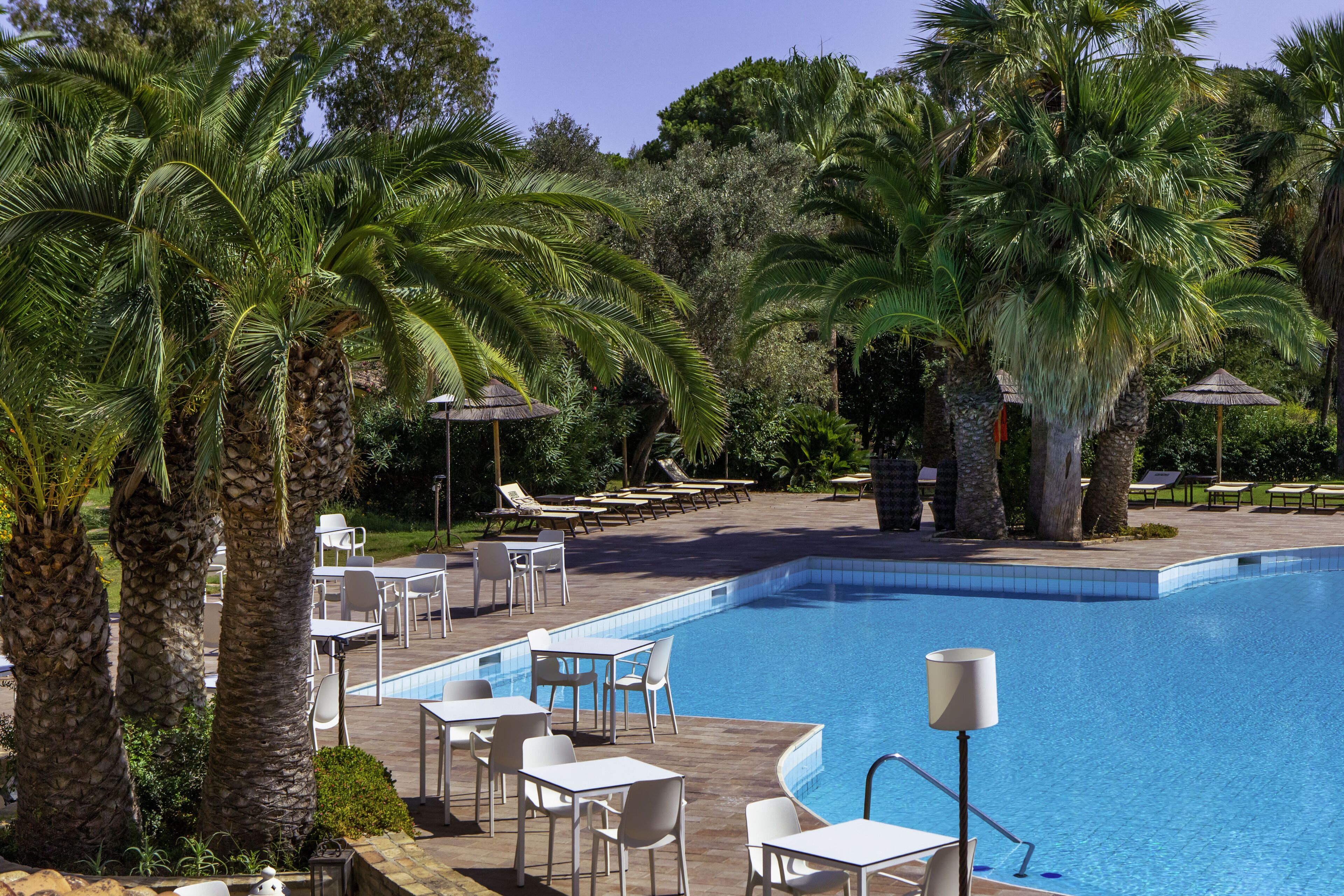 A poolside area with lounge chairs and tables, surrounded by palm trees.