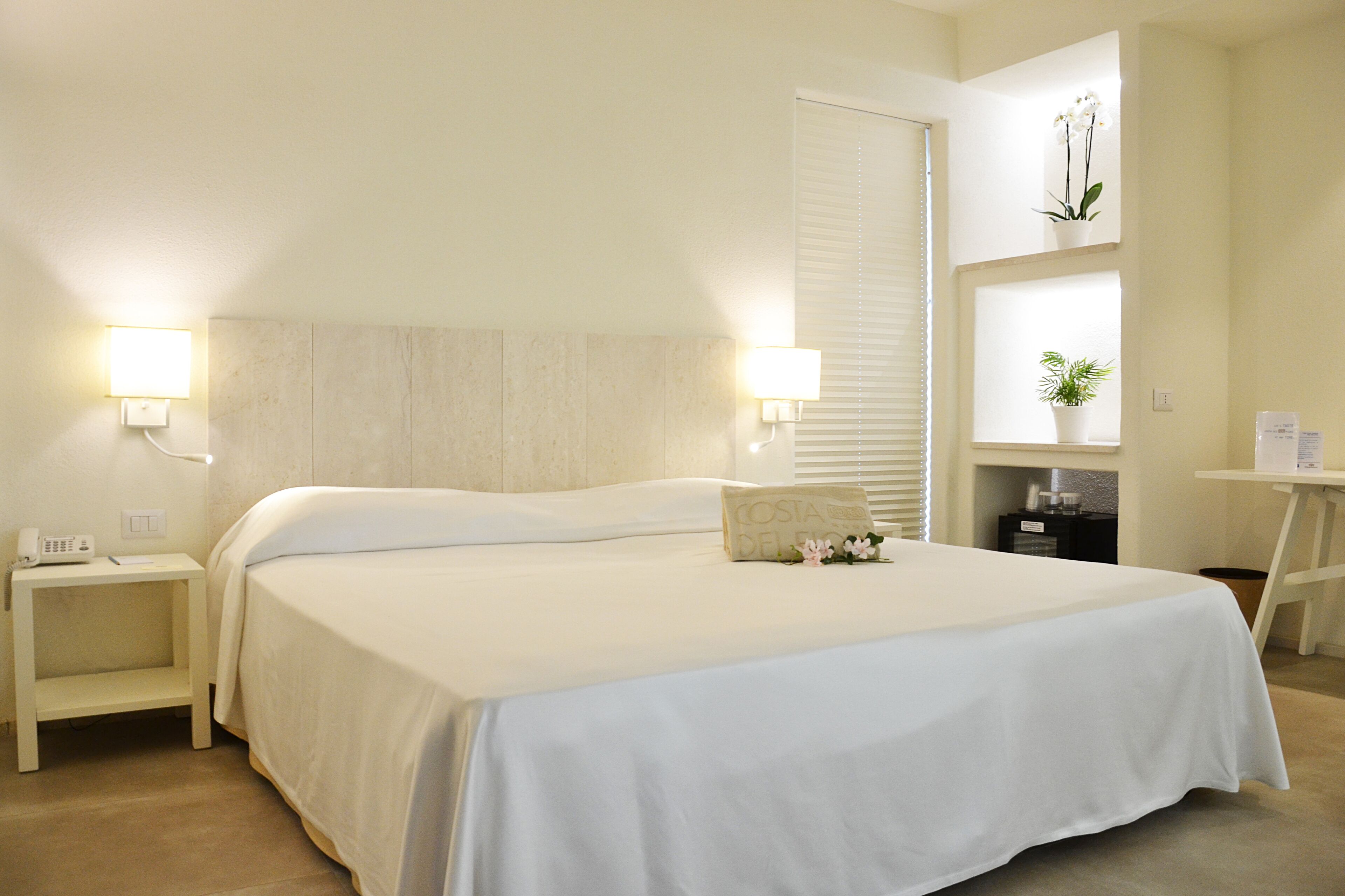 A hotel room with a large bed, two bedside tables, a nightstand, a desk, and a potted plant.