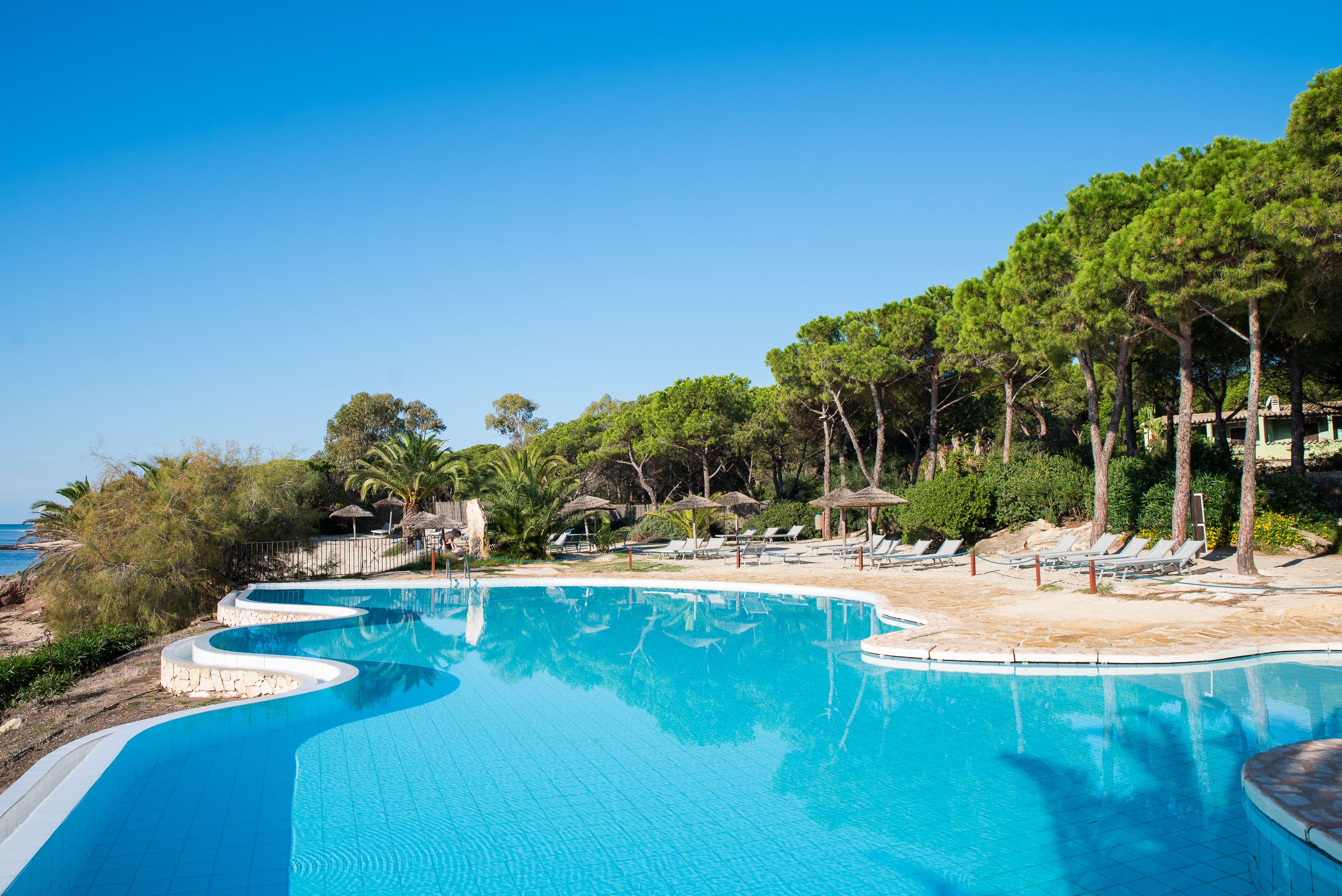 A clear blue pool with a curved edge, surrounded by lounge chairs and umbrellas, with a beach and trees in the background.