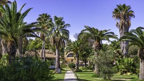 A pathway leading to a building surrounded by palm trees and greenery. - Hotel Costa Dei Fiori (Pula)