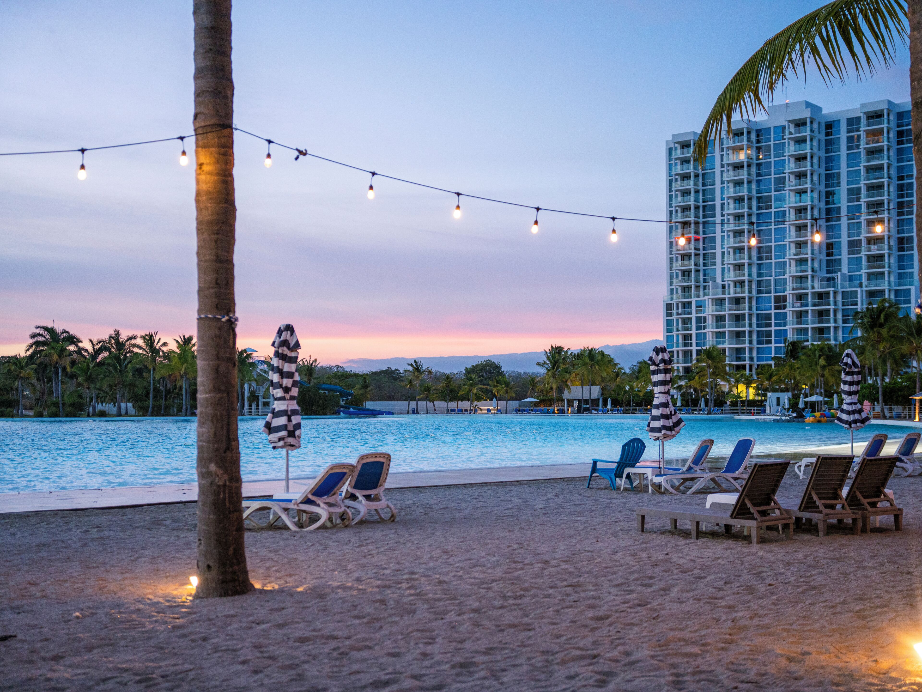 A beachside pool area with lounge chairs and umbrellas, a palm tree, and a high-rise building in the background.