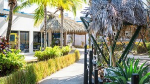A pathway lined with tropical plants and palm trees, leading to a building with a thatched roof structure. - Playa Blanca Beach Resort - All Inclusive (Rio Hato)