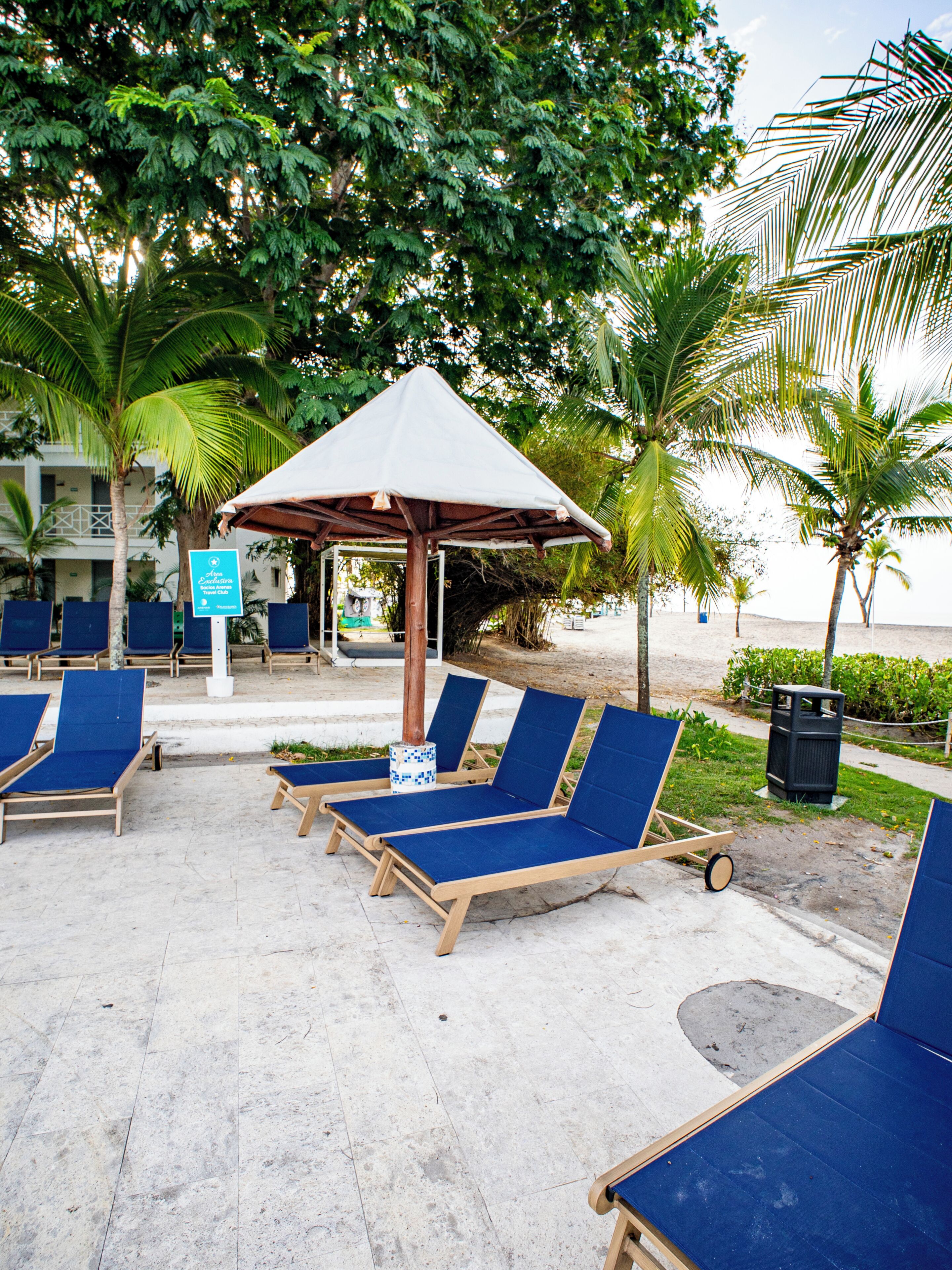 A beachside lounge area with sun loungers, a covered seating area, and palm trees.