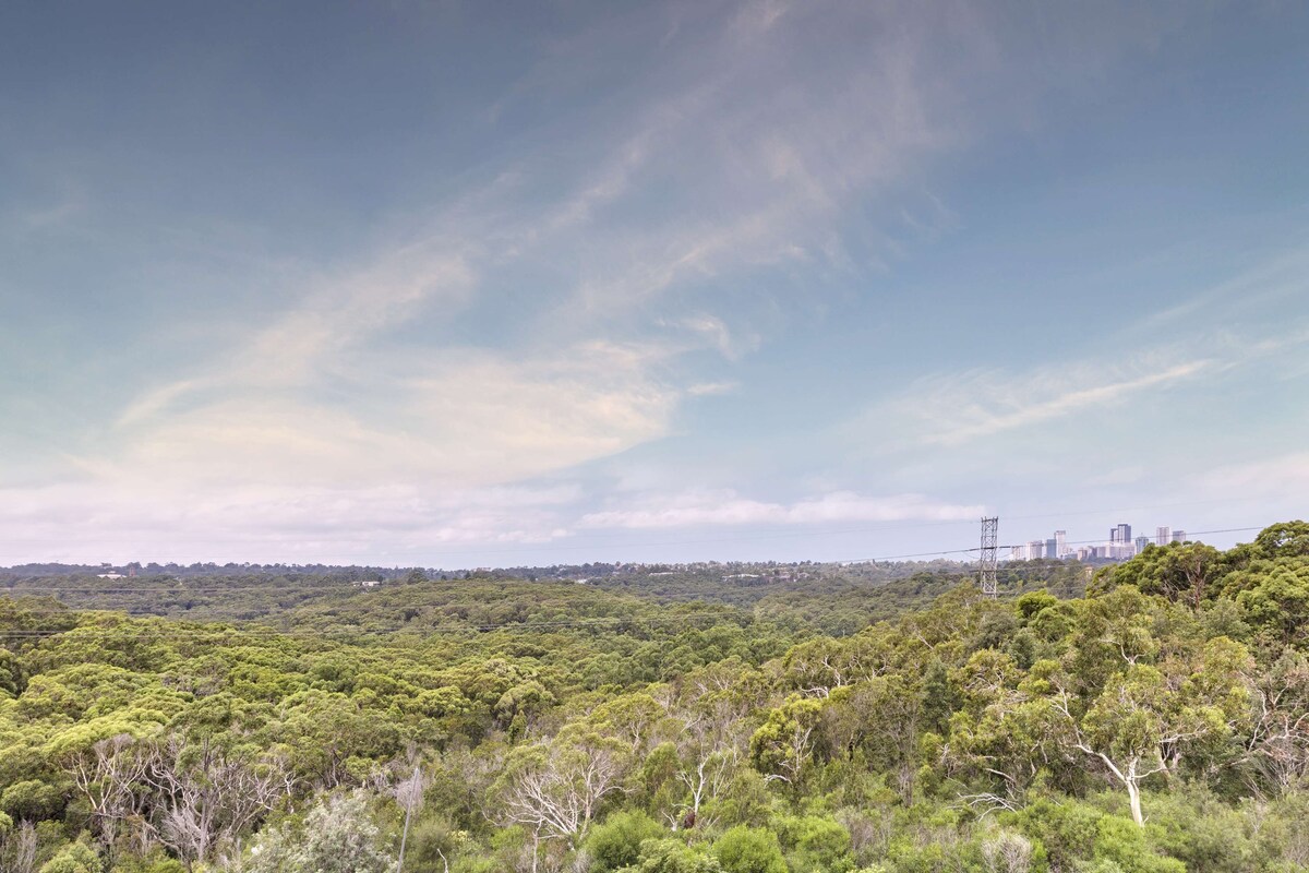 A landscape with dense greenery and a distant city skyline.