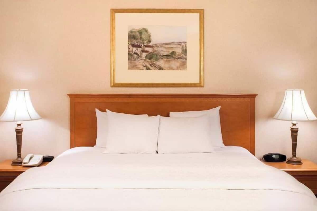 Premium bedding, desk, laptop workspace, blackout drapes