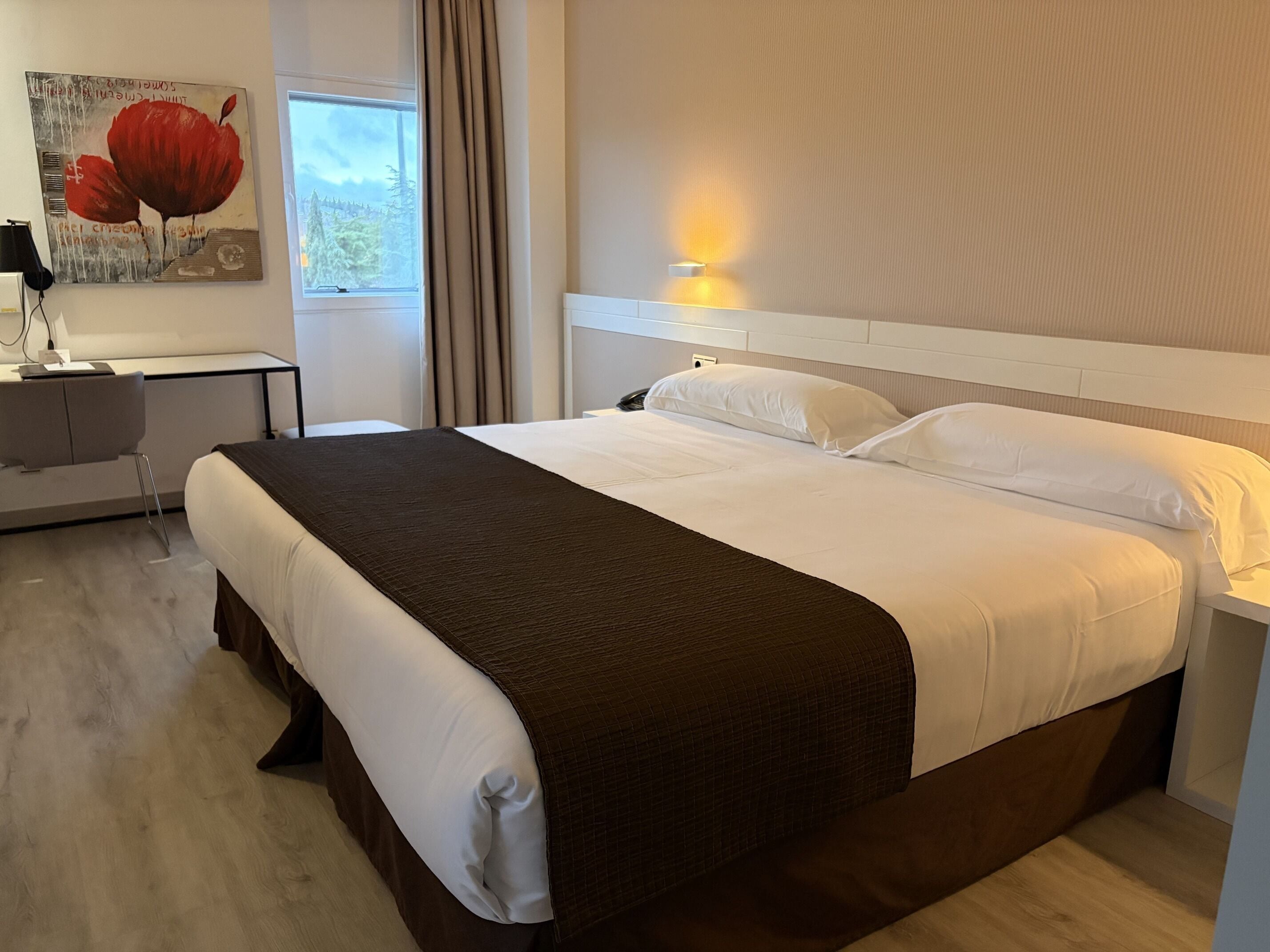 Minibar, caja fuerte, escritorio y wifi gratis