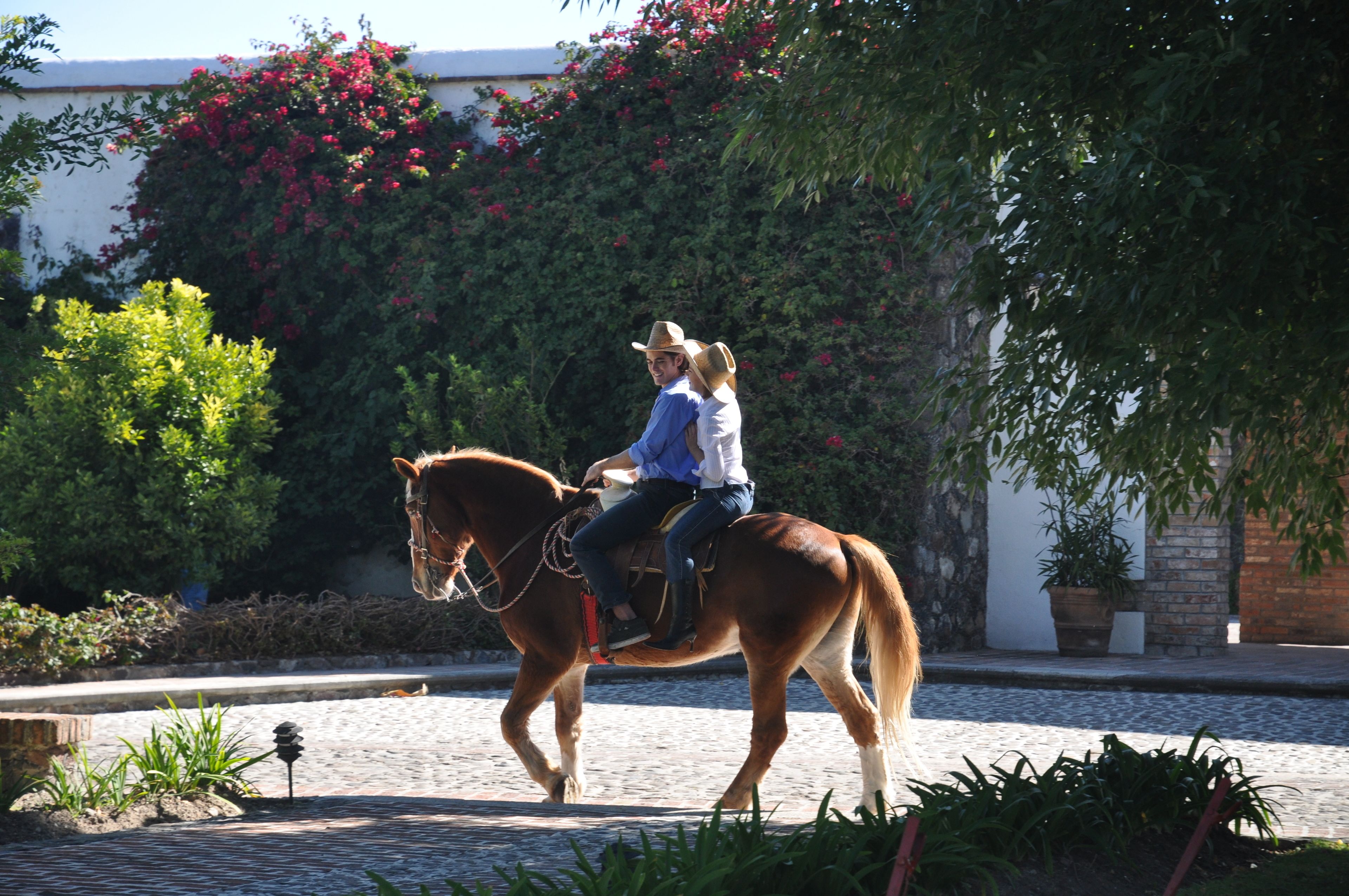Uma pessoa a cavalo em um caminho de pedras, com vegetação e um edifício ao fundo.