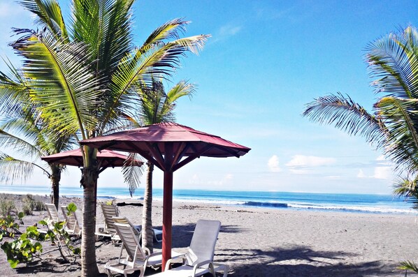 On the beach, black sand, free beach cabanas, sun-loungers