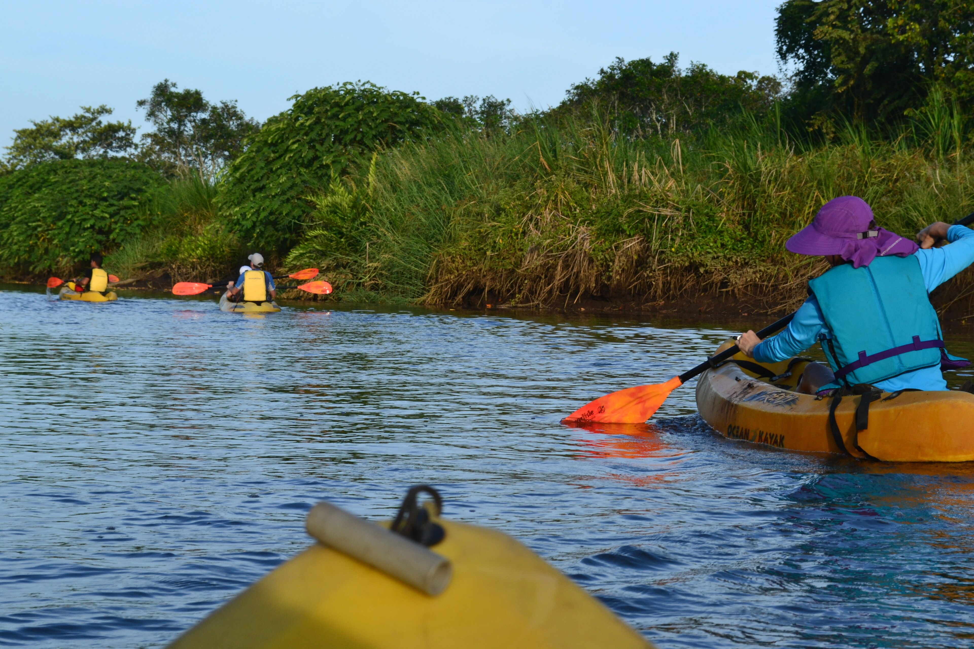 A group of people kayaking on a river surrounded by lush greenery.
