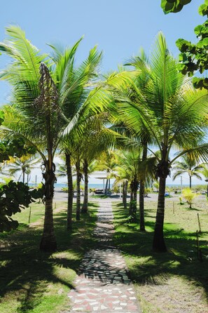En la playa, arena negra, camas de playa gratis